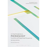 A Critical Introduction to Phonology: Functional and Usage-Based Perspectives