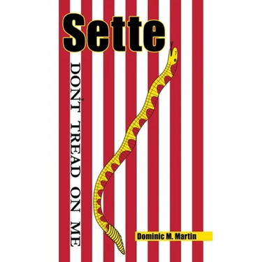 Sette
