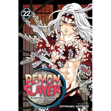Demon Slayer: Kimetsu No Yaiba, Vol. 22