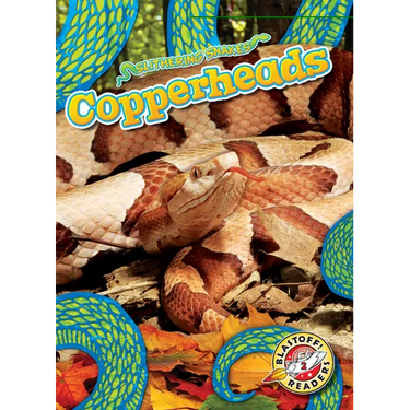 Copperheads