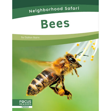 Bees