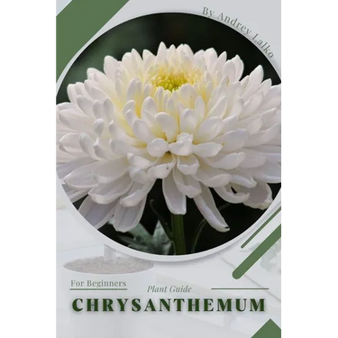 Chrysanthemum: Plant Guide