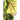 The Dragon Slayer's Son