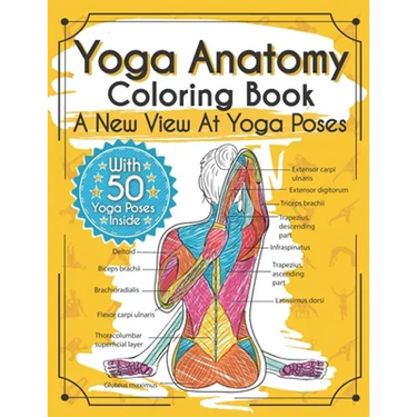 Yoga Anatomy Coloring Book: A New View At Yoga Poses
