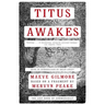 Titus Awakes: The Lost Book of Gormenghast