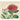 The Dominion of Flowers: Botanical Art and Global Plant Relations