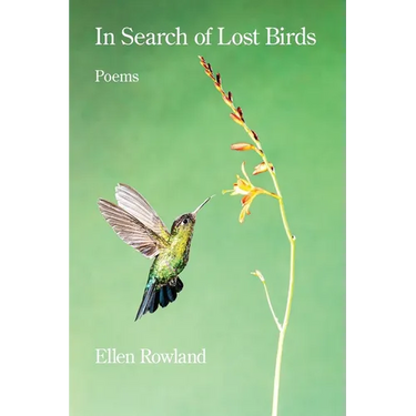 In Search of Lost Birds