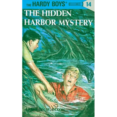 The Hidden Harbor Mystery