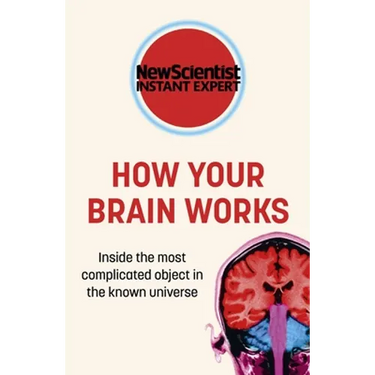 How Your Brain Works: Inside the Most Complicated Object in the Known Universe