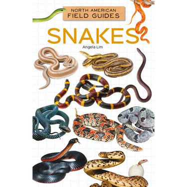 Snakes