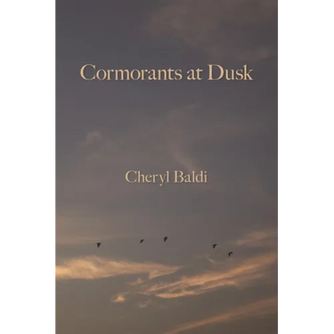 Cormorants at Dusk