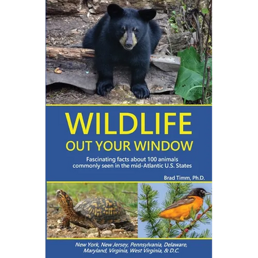 Wildlife Out Your Window: Fascinating Facts about 100 Animals Commonly Seen in the mid-Atlantic U.S. States