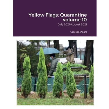 Yellow Flags: Quarantine volume 10: July 2021-August 2021