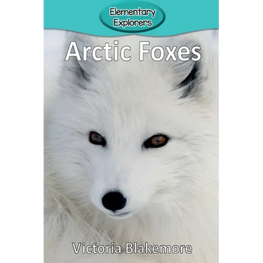 Arctic Foxes