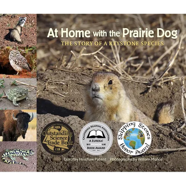 At Home with the Prairie Dog: The Story of a Keystone Species