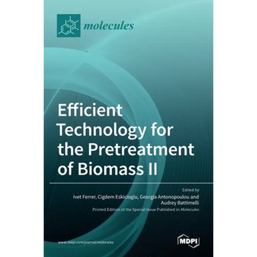 Efficient Technology for the Pretreatment of Biomass II