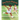 Perfect Match: The Story of Althea Gibson and Angela Buxton