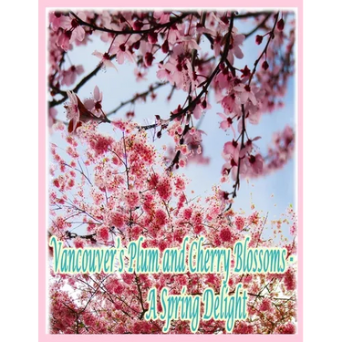 Vancouver's Plum and Cherry Blossoms: A Spring Delight