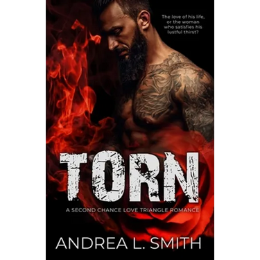 Torn: A Second Chance Love Triangle Romance
