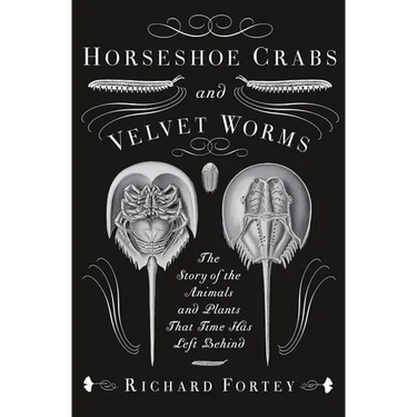 Horseshoe Crabs and Velvet Worms: The Story of the Animals and Plants That Time Has Left Behind