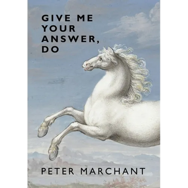 Give Me Your Answer, Do