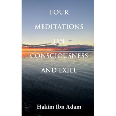 Four Meditations on Consciousness and Exile