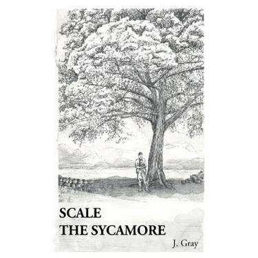 Scale the Sycamore