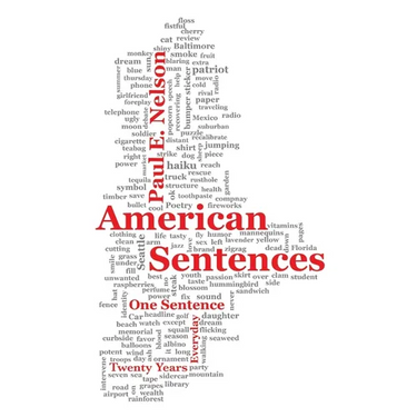 American Sentences: One Sentence, Every Day, Twenty Years