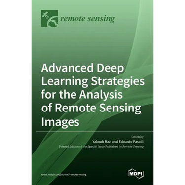 Advanced Deep Learning Strategies for the Analysis of Remote Sensing Images