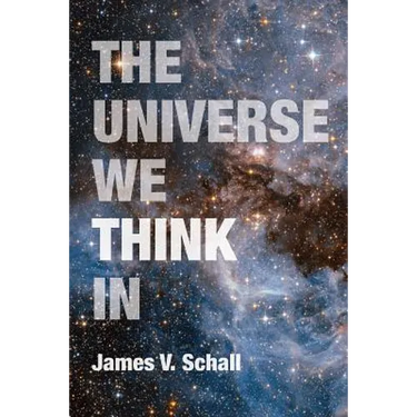 The Universe We Think in