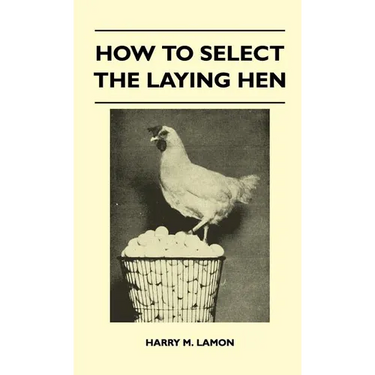 How To Select The Laying Hen