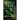 Deadly Luck: A St. Patrick's Day Romantic Suspense