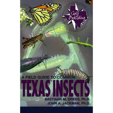 A Field Guide to Common Texas Insects
