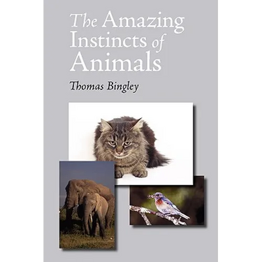The Amazing Instincts of Animals