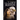 The Lost Mayan