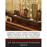 Regulatory Impact Analysis and Regulatory Support Document: Control of Air Pollution, Emission Standards for New Nonroad Spark Ignition Engines at or