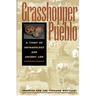 Grasshopper Pueblo: A Story of Archaeology and Ancient Life
