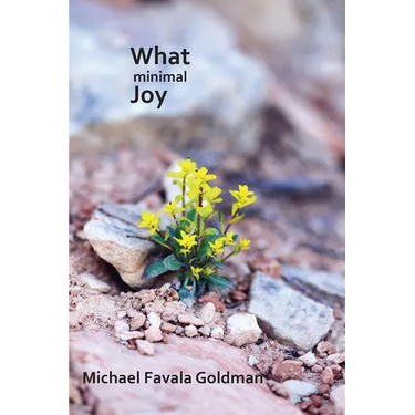 What Minimal Joy