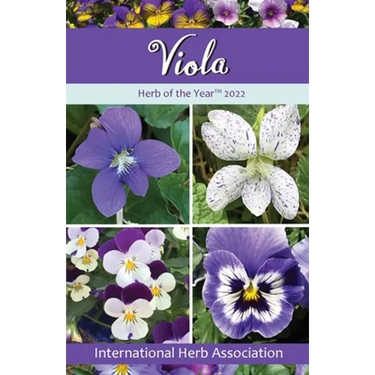 Viola: Herb of the Year(TM) 2022