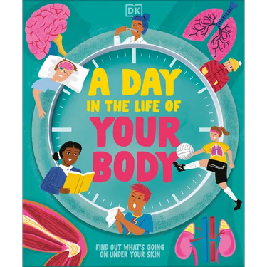 A Day in the Life of Your Body: Find Out What's Going on Under Your Skin