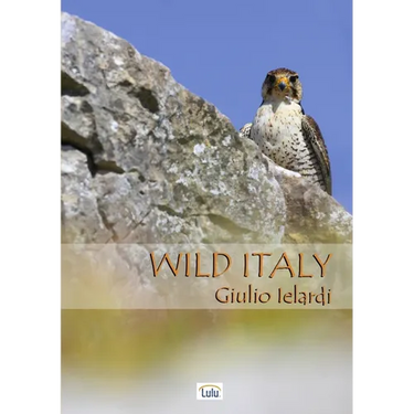 Wild Italy