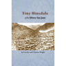 Tiny Hinsdale of the Silvery San Juan