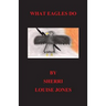 What Eagles Do: eagles, native american, spiritual, american Indian stories