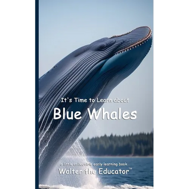 It's Time to Learn about Blue Whales