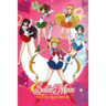 Sailor Moon: Trivia Quiz Book