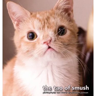 The Tao of Smush