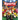 Sports: A Can-You-Find-It Book