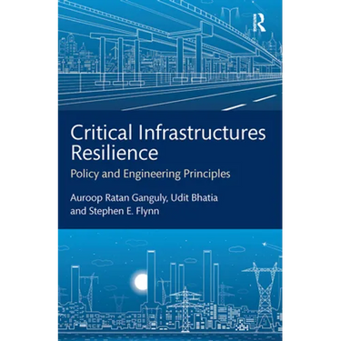 Critical Infrastructures Resilience: Policy and Engineering Principles