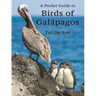 A Pocket Guide to Birds of Galápagos