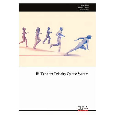 Bi-Tandem Priority Queue System